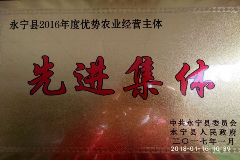 2017年1月先進集體